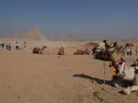 Panorama drei Pyramiden Gizeh, Kairo, Ägypten 