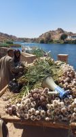 Knoblauch Verkauf Nubisches Dorf, Ägypten, Assuan