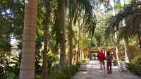 Spaziergang Botanischer Garten, Assuan