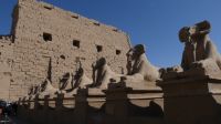 Sphinx Alle vor dem Karnak Tempel, Ägypten