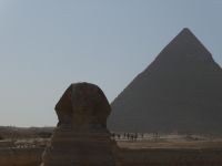 Der Sphinx vor Pyramide, kairo