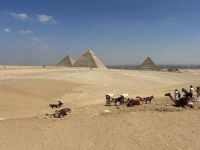 Die Pyramiden von Gizeh