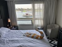 Ein Handtuch Tier überrascht uns 