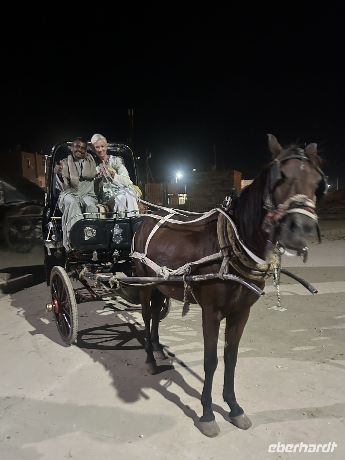 Mit der Kutsche zum Tempel Edfu