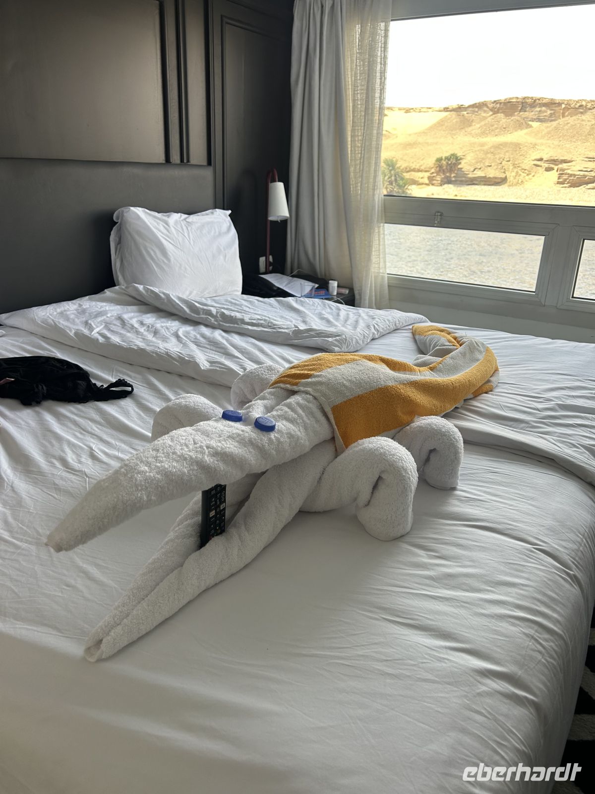 Ungefährliches Krokodil 