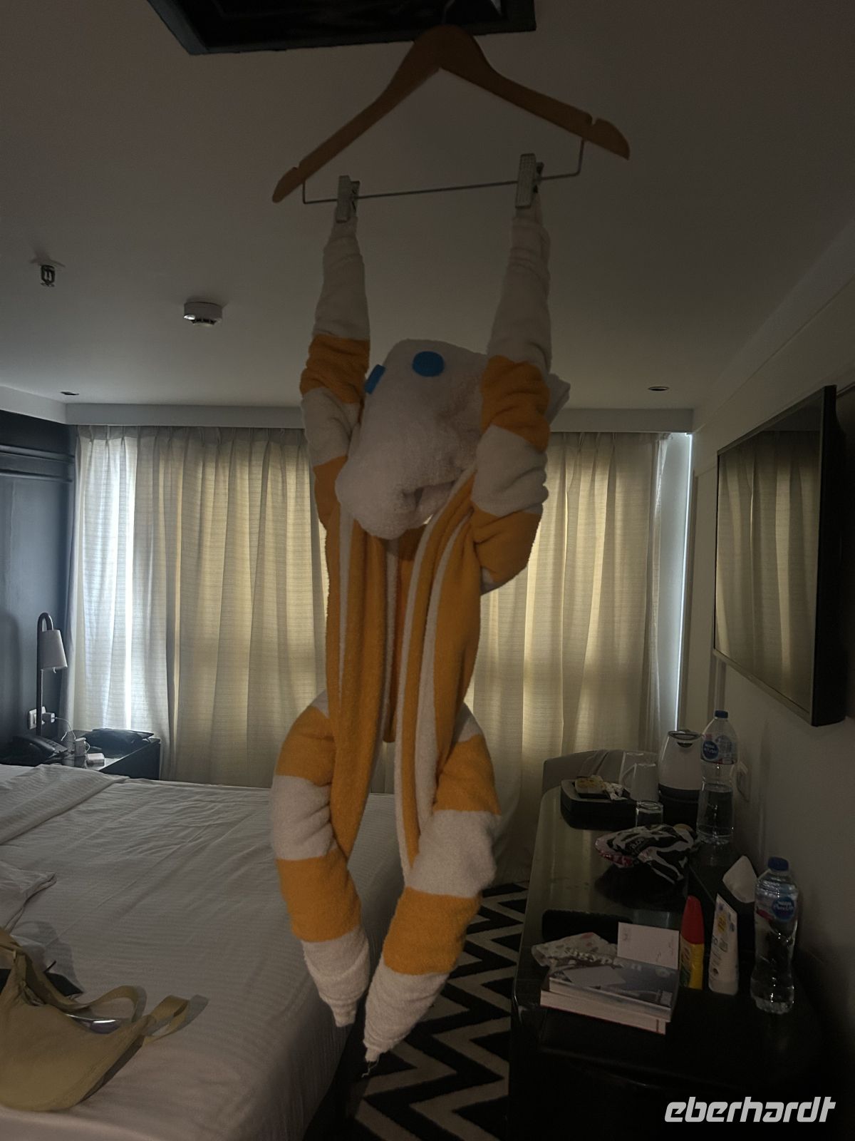 Wieder ein Handtuch Tier überrascht uns 