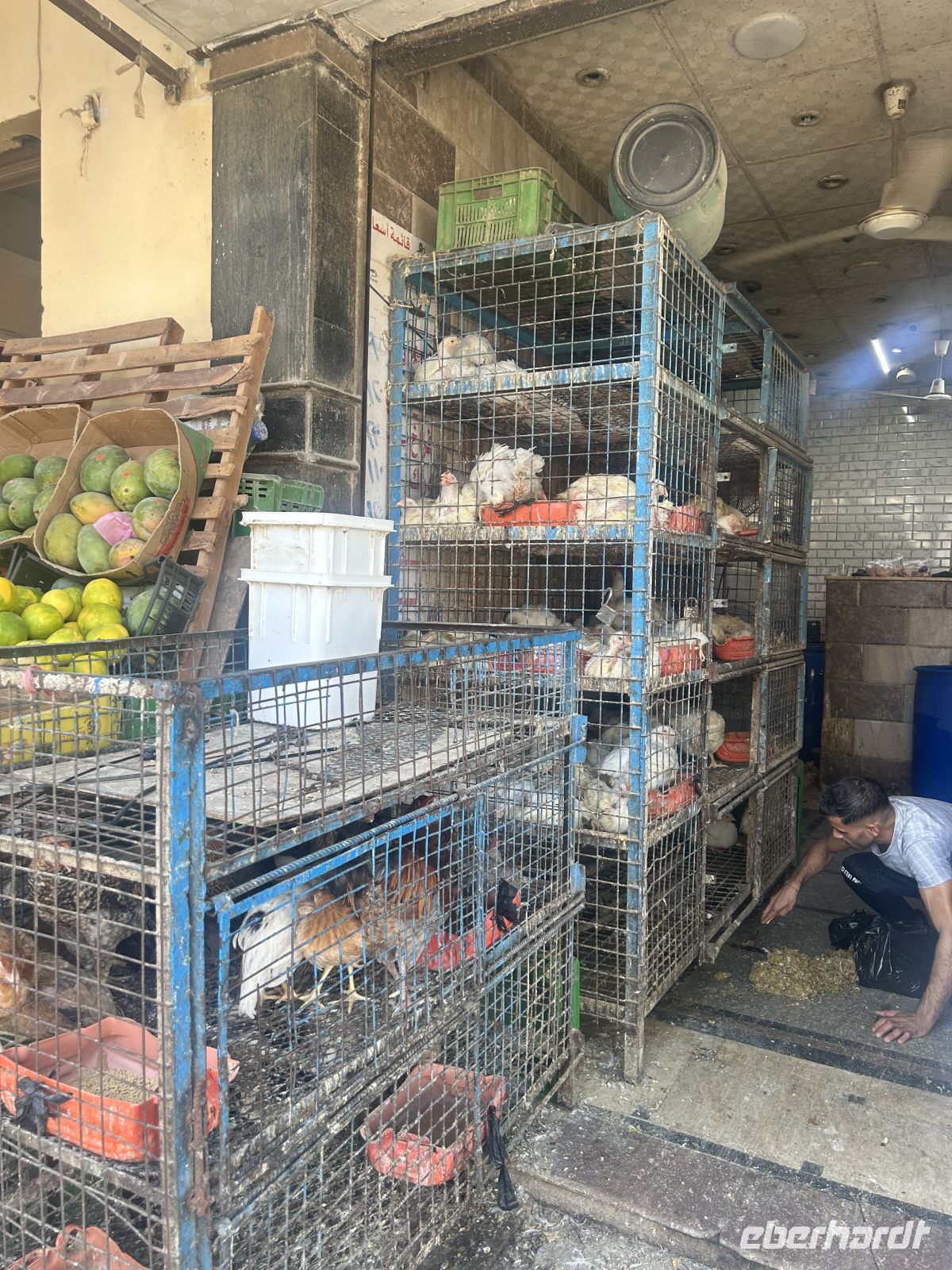 Marktgeschehen in der Altstadt 