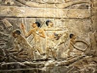 Sakkara, Mastaba des Ti