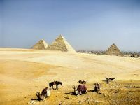 Kamelherde vor den Pyramiden und ein Pferd hat sich auch verirrt