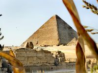 Der Sphinx, Cheopspyramide hinter Maisblättern