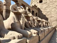 Der Widder steht für AmunRa, Karnak
