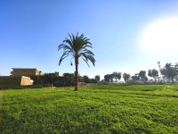 Der Nil ist die grüne Lebensader in Ägypten