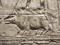 Gefesseltes Nilpferd, Tempel in Edfu