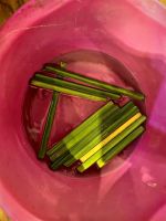 In Wasser eingeweichter Papyrus