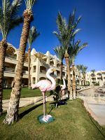 Rechts vom Flamingo sind unsere Zimmer