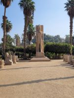 026 - Memphis - Reste der 1. Hauptstadt des vereinten Ägyptens