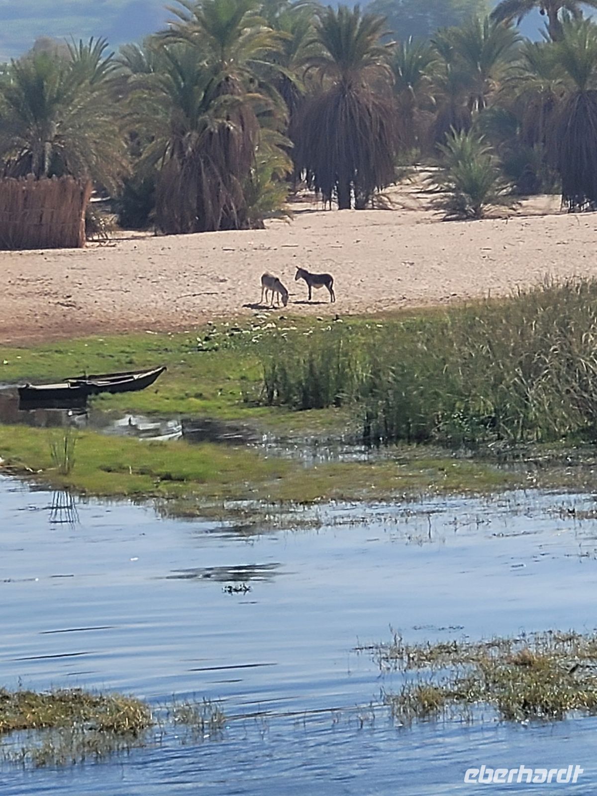 085 - unterwegs von Edfu nach Kom Ombo