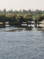 119 - unterwegs auf dem Nil