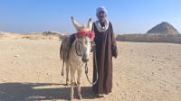 Esel mit Ägypter vor Stufenpyramide &ndash; &copy; Anette Rietz (Eberhardt TRAVEL)