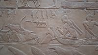 Relief im Mastaba-Grab Barke &ndash; &copy; Anette Rietz (Eberhardt TRAVEL)