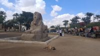 Memphis Alabaster-Sphinx &ndash; &copy; Anette Rietz (Eberhardt TRAVEL)