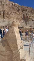 Horus vor Tempel Hatschepsut &ndash; &copy; Anette Rietz (Eberhardt TRAVEL)
