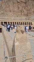 Horus vor Tempel Hatschepsut &ndash; &copy; Anette Rietz (Eberhardt TRAVEL)