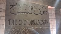 Krokodil Museum Kom Ombo &ndash; &copy; Anette Rietz (Eberhardt TRAVEL)