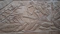 Reliefs im Mastaba-Grab Sakkara &ndash; &copy; Anette Rietz (Eberhardt TRAVEL)