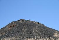 Jeeptour_Schwarze_Wueste