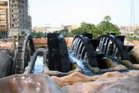 Oase_Fayoum_Wasserraeder