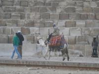 Die Kamelreiter sind auch unterwegs