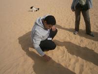 Und bekommen auch alles noch einmal grafisch dargestellt