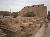 Sphingenallee des Karnak Tempels