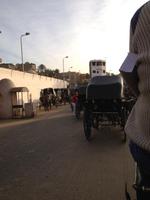 Wir fahren mit den Pferdekutschen zum Edfu-Tempel