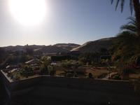 Botanischer Garten auf der Kitchener Insel