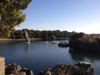 Botanischer Garten auf der Kitchener Insel