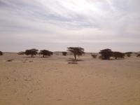 Auf dem Weg nach Fayoum