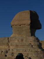 Der Sphinx