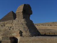 Der Sphinx