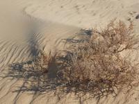 So schön kann Natur sein