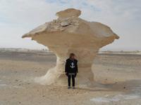 Unter einem Schutzschirm