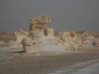 Bald nehmen wir Abschied