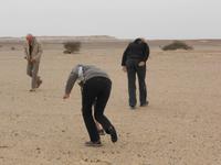 Wer suchet, der findet