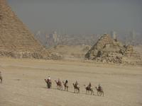 die Karawane zieht weiter