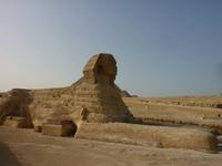 Sphinx - 