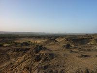 Abendstimmung auf dem Englischen Berg