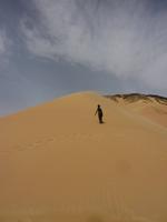 der kleine Bruder eines Chauffeurs macht es uns vor