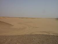 Wüstenimpressionen Schwarze Wüste