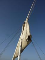 es wird wieder gesegelt